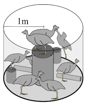 A group of birds standing on top of a round object.